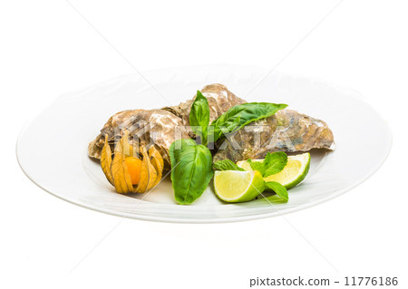 Fresh oyster Fresh oyster 11776186