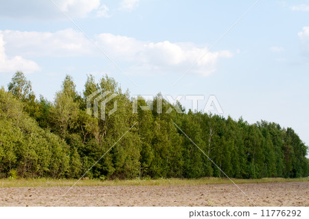 grass valley in forest during summer 11776292