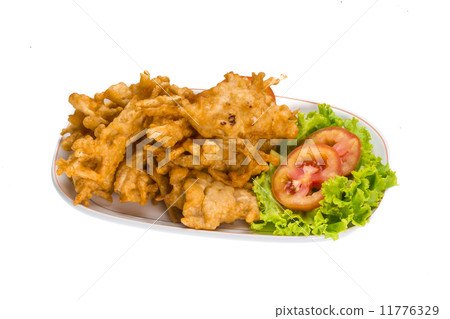 Tempura 11776329