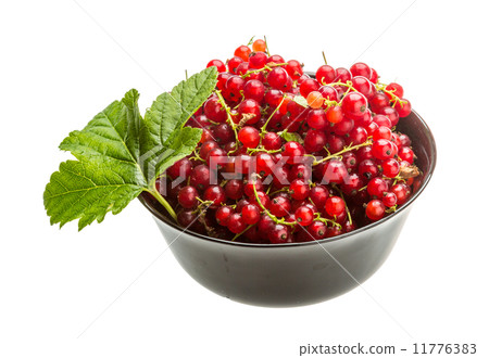 Red currant Red currant 11776383