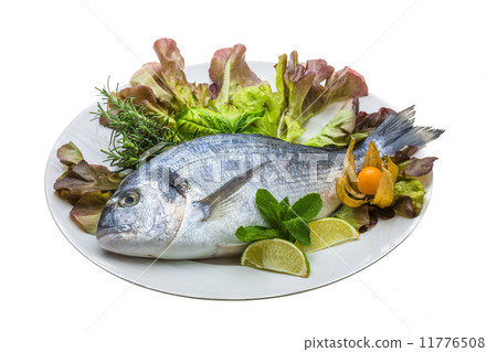 Fresh raw dorada Fresh raw dorada 11776508
