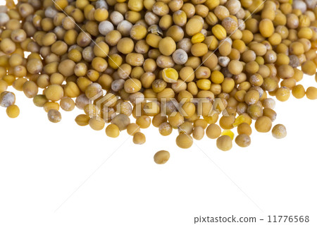 yellow mustard seeds yellow mustard seeds 11776568