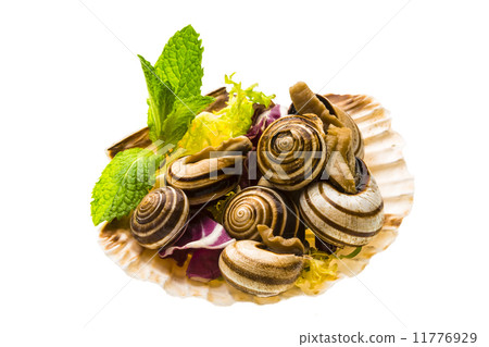 Escargot with asparagus, rosemary, thymus and tomato 11776929
