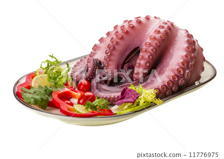 Large boiled octopus 11776975