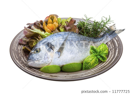 Fresh raw dorada Fresh raw dorada 11777725