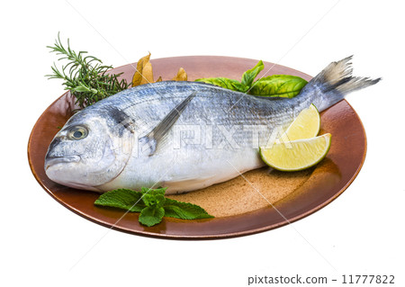 Fresh raw dorada Fresh raw dorada 11777822