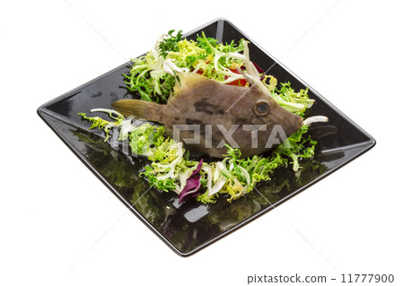 Fish Pesce San Pietro Fish Pesce San Pietro 11777900