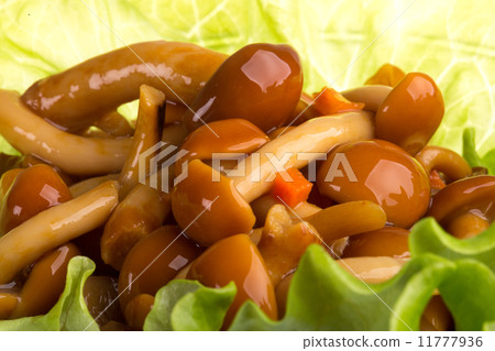 agaric honey at plate 11777936