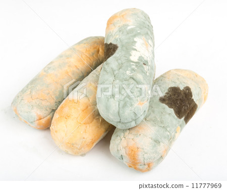 Old musty bread covered with green mold 11777969