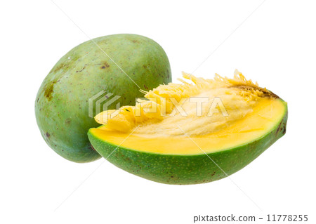 Mango Mango 11778255