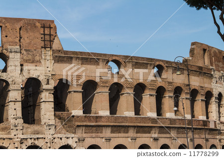 The Colosseum in Rome, Italy 11778299
