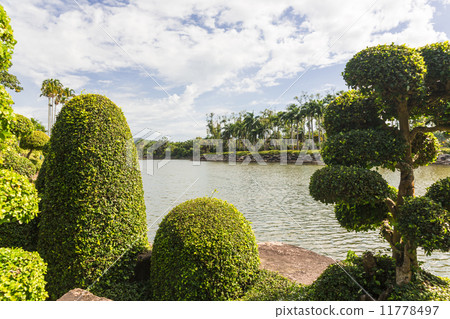 Nong Nooch tropical garden 11778497