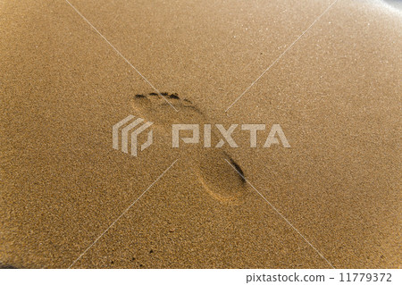 Foot track Foot track 11779372