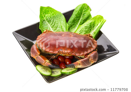 Raw crab 11779708