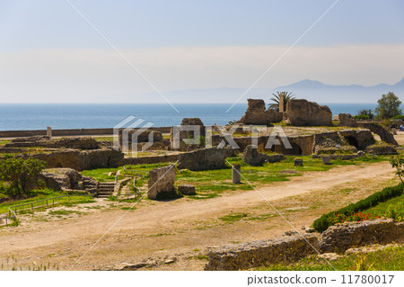 Old Carthage ruins 11780017