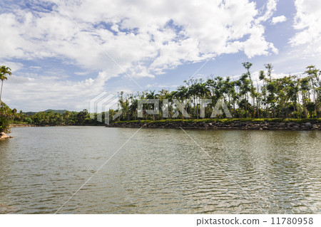 Nong Nooch tropical garden 11780958