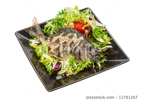 Grilled Tilapia with salad 11781267