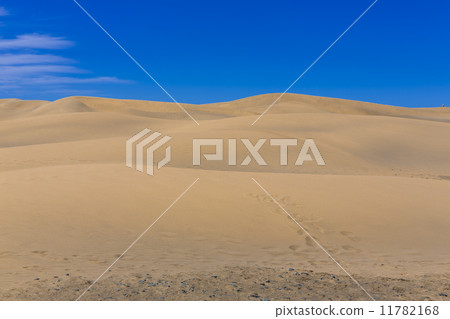 Maspalomas Duna - Desert in Canary island Gran Canaria 11782168