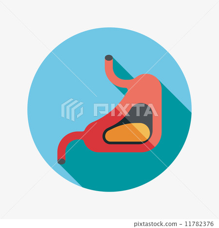 Human stomach flat icon with long shadow 11782376