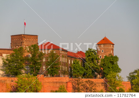 Royal castle in Wawel, Krarow 11782764