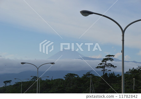 August in Numazu Port near Shizuoka prefecture 11782842