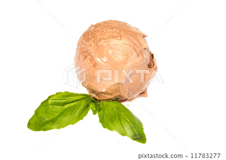 Scoop of chocolate ice cream with mint leaf 11783277