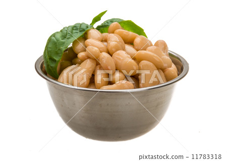 Tinned bean 11783318