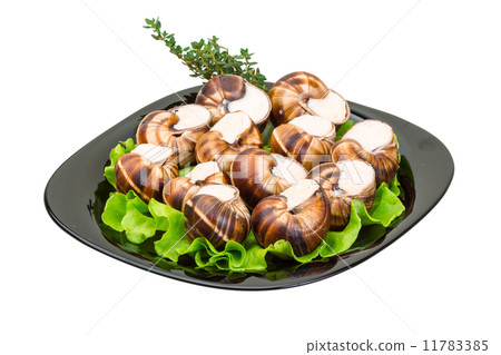 Escargot 11783385