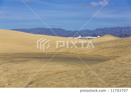 Maspalomas Duna - Desert in Canary island Gran Canaria 11783707
