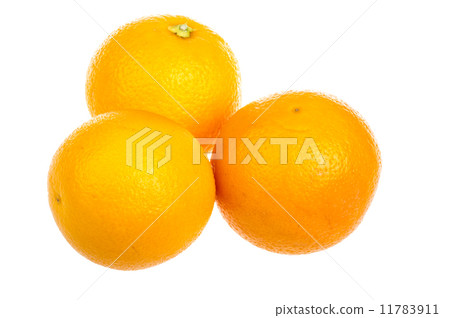 Ripe orange isolated on white background Ripe orange isolated on white background 11783911