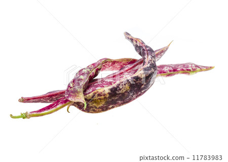 Red bean pod 11783983