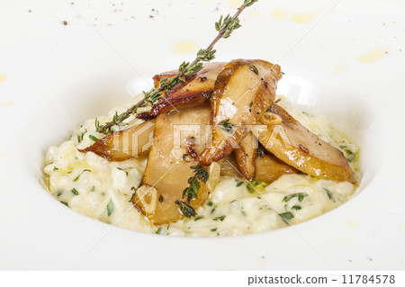 photo of delicious risotto dish with herbs and mushrooms on whit photo of delicious risotto dish with herbs and mushrooms on whit 11784578