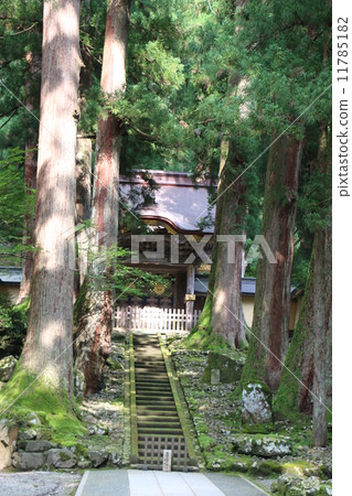 Saoto Soto Omotoyama Eiheiji 15 Saoto Soto Omotoyama Eiheiji 15 11785182