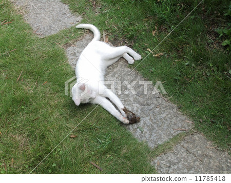 Hunting (place where the cat got the sparrow) 2 (There are 2 other pieces.No. 11785417, 11785419) 11785418