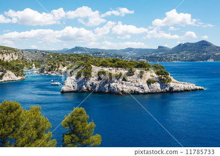Calanques of Port Pin in Cassis, Provence, France 11785733