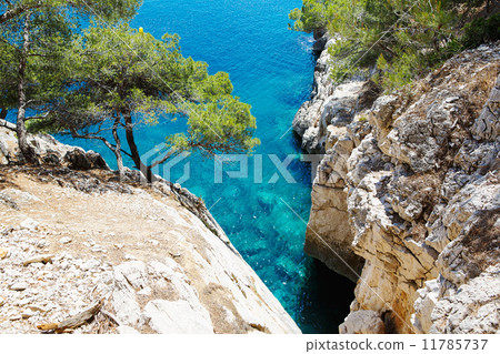Calanques of Port Pin in Cassis, Provence, France 11785737