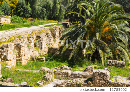 Old Carthage ruins Old Carthage ruins 11785902