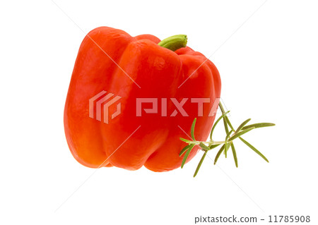 Red pepper 11785908