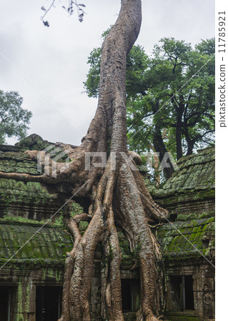 Angkor Wat complex Angkor Wat complex 11785921