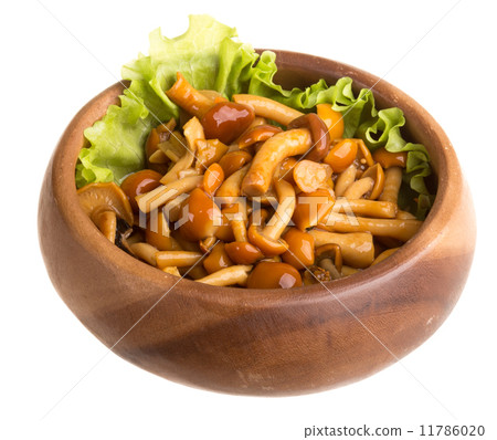 agaric honey at plate agaric honey at plate 11786020