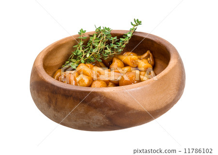 Armillaria Armillaria 11786102