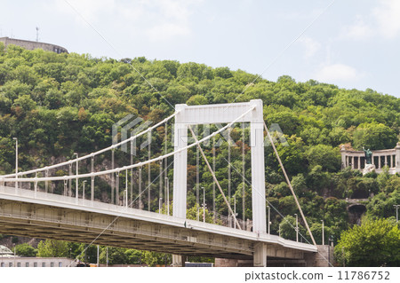 Bridge in Budapest, Hungary 11786752