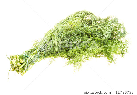 Fresh branches of green dill isolated on white background. 11786753
