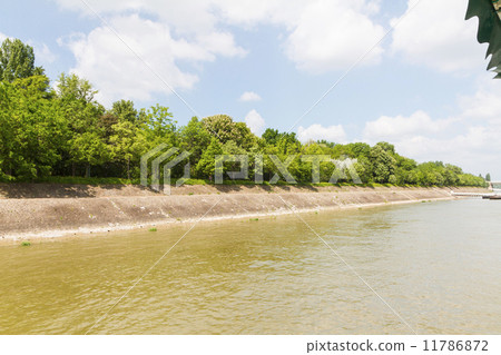 Margaret island, Budapest, Hungary 11786872