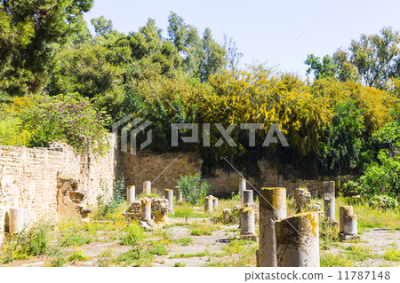Old Carthage ruins Old Carthage ruins 11787148