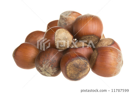 Dried hazelnuts Dried hazelnuts 11787599