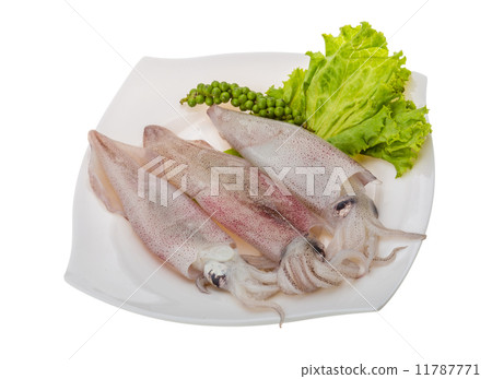 Raw calamari 11787771