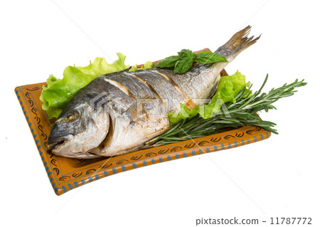 Grilled dorada 11787772