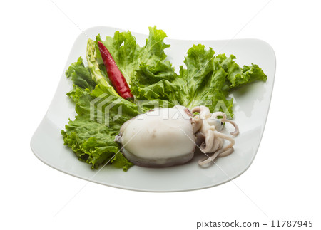 Boiled cuttlefish 11787945