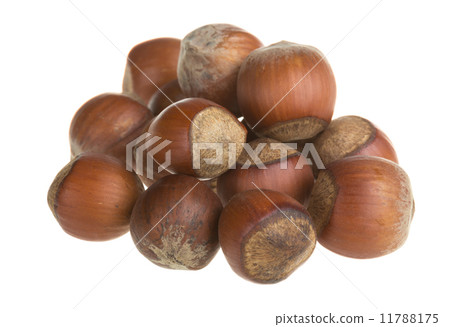 Dried hazelnuts Dried hazelnuts 11788175